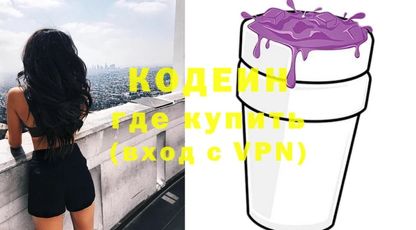 крисы Ельня