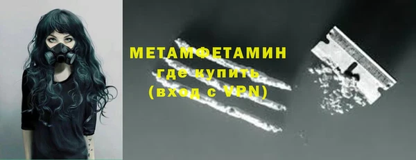 крисы Ельня