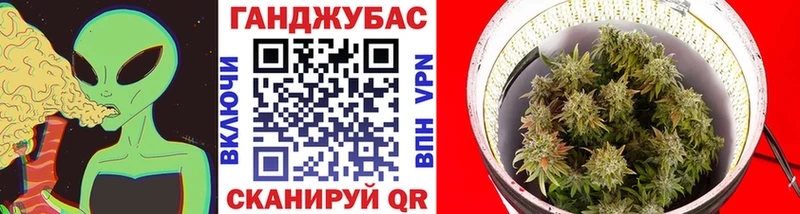 МАРИХУАНА гибрид  Дятьково 