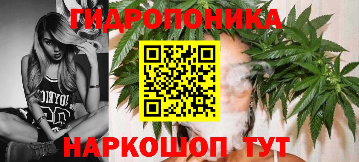 Шишки марихуана тримм  МАРИХУАНА VHQ  Дятьково  Вход с VPN  Бошки Шишки Bruce Banner 
